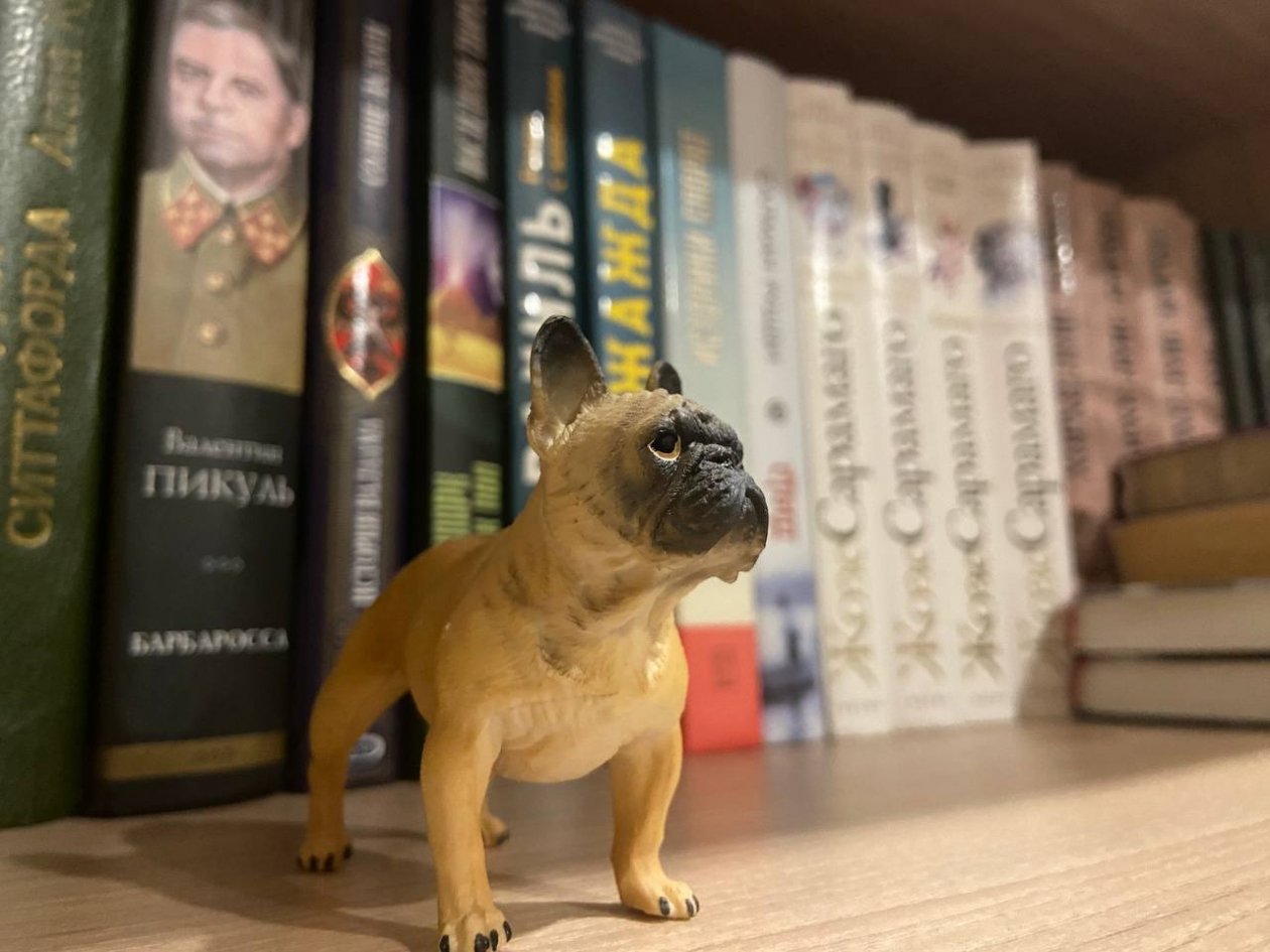 Учителя литературы без ума от тех, кто отвечает на 6/6 - ТЕСТ для начитанных ИА Stavropol.Media