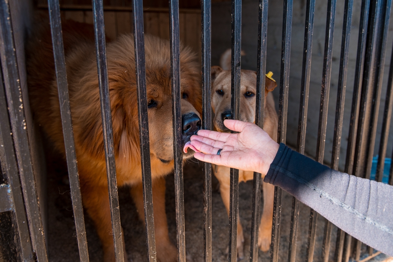 Тематическое фото ИА OmskMedia