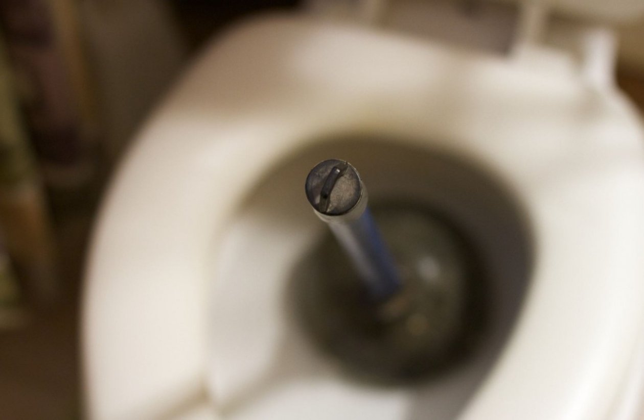 Тематическое фото pxhere.com