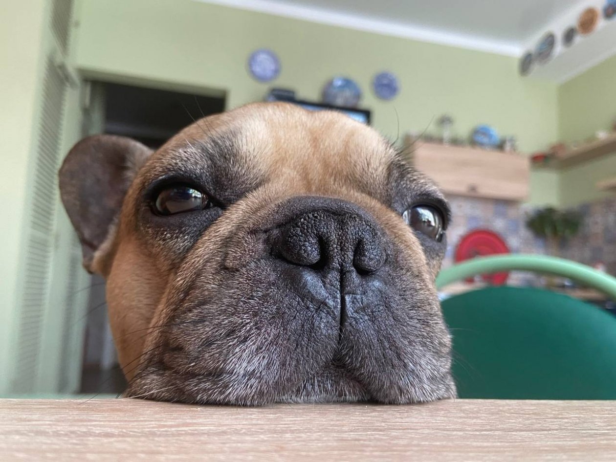  ИА Stavropol.Media