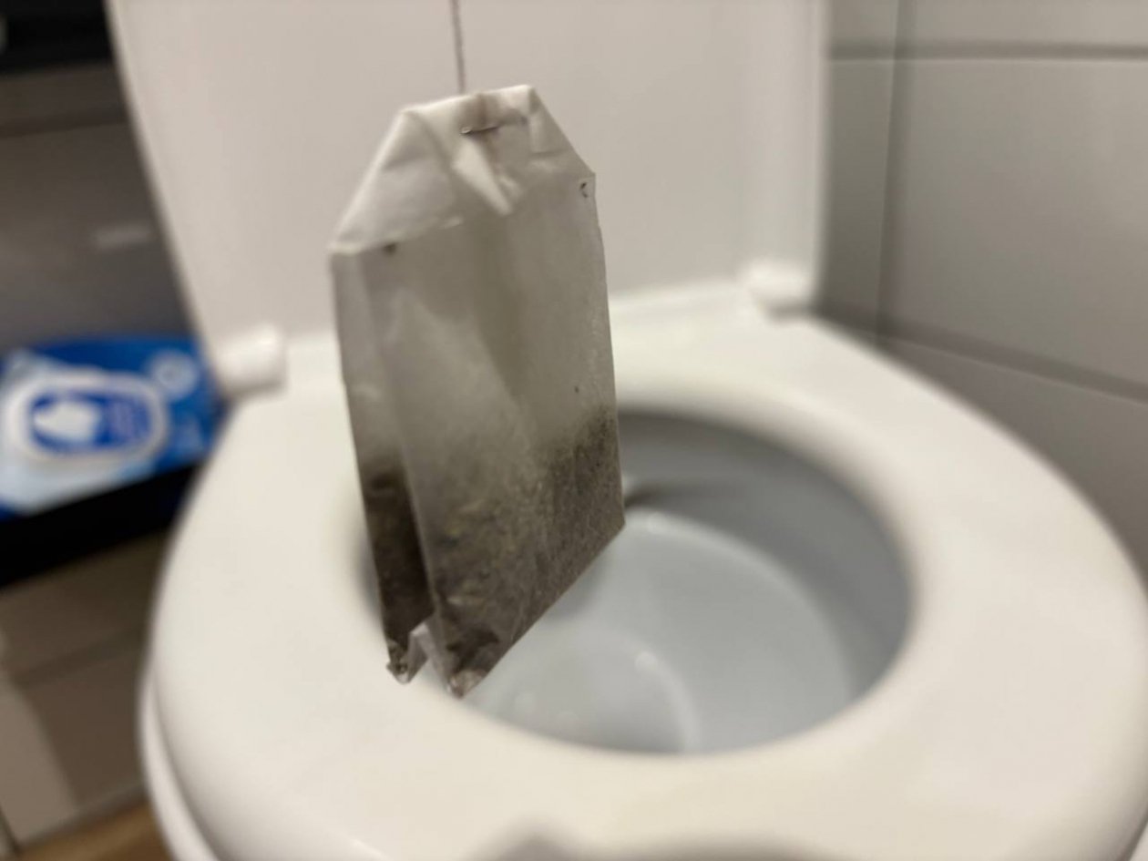 Чай гостям не завариваю - несу сразу в туалет: потом ещё получаю комплименты ИА KrasnodarMedia