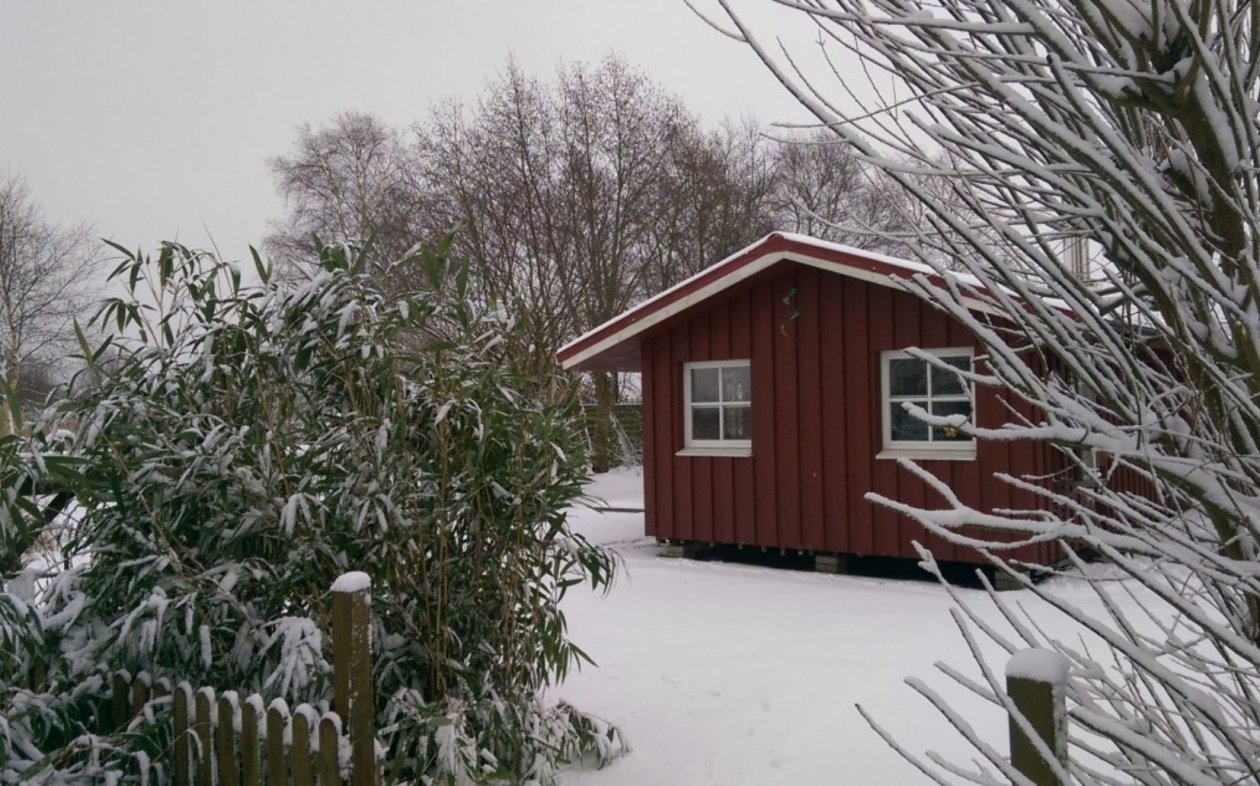 Тематическое фото pxhere.com