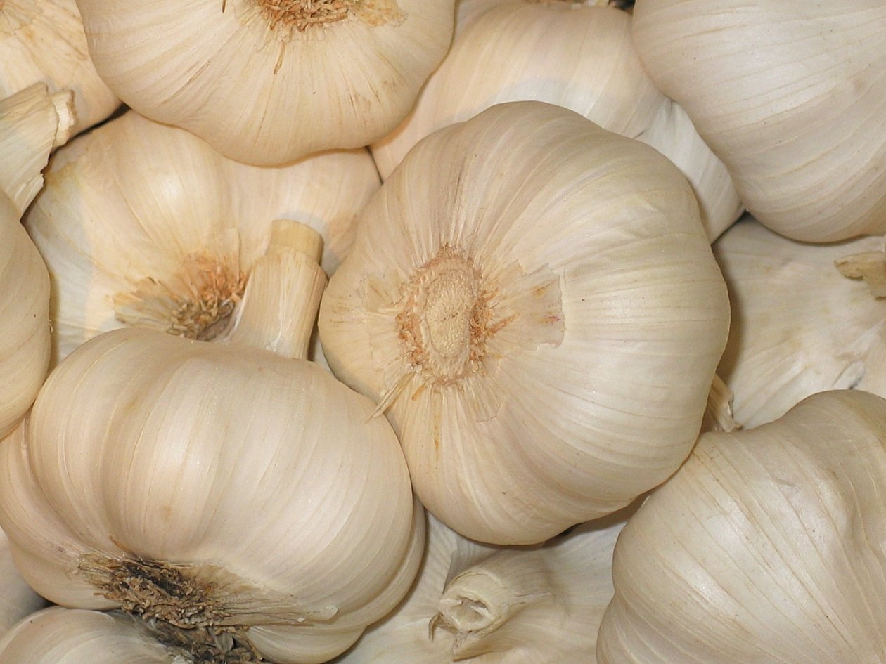 Тематическое фото pxhere.com (18+)