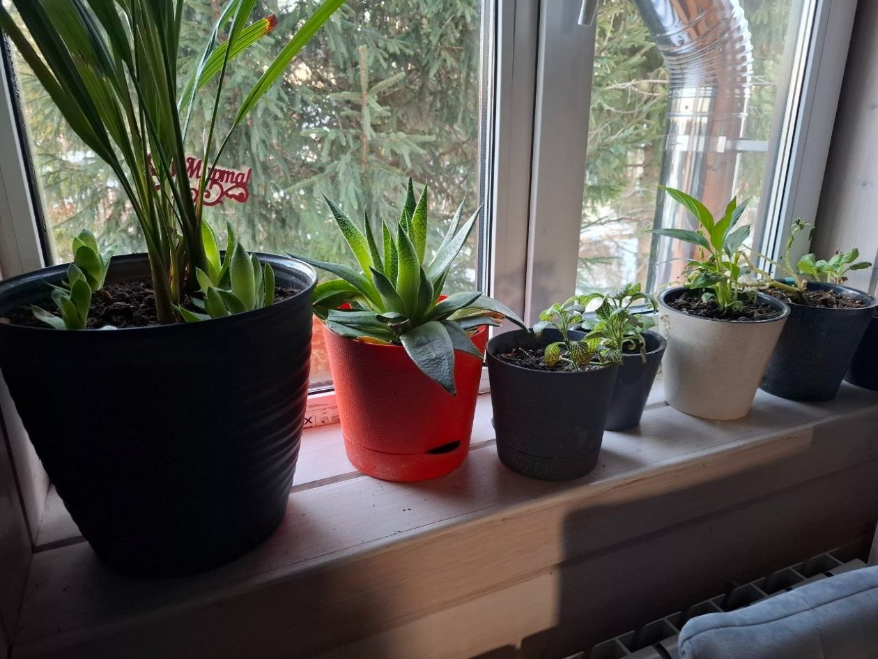 Каждую зиму клею ленту — и не нарадуюсь своей смекалке: в квартире тепло, как в Сочи ИА KrasnodarMedia.ru