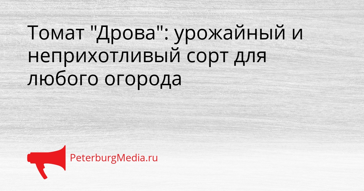 Томат &quotДрова&quot: урожайный и неприхотливый сорт для любого огорода Сгенерировано