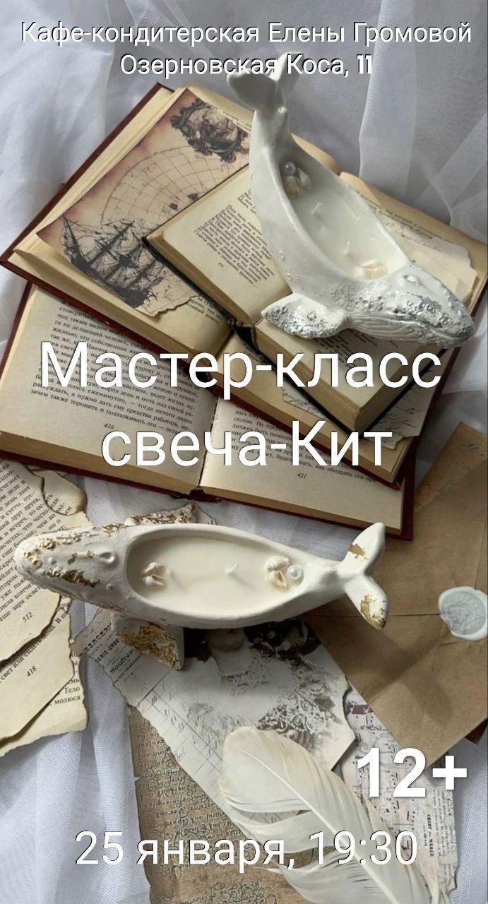 Организаторы