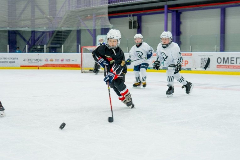 Организаторы