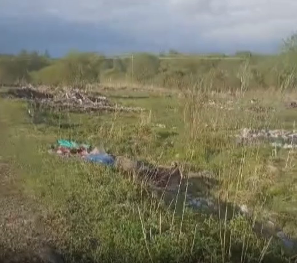 Амурская бассейновая природоохранная прокуратура