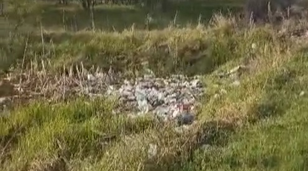 Тематическое фото Амурская бассейновая природоохранная прокуратура