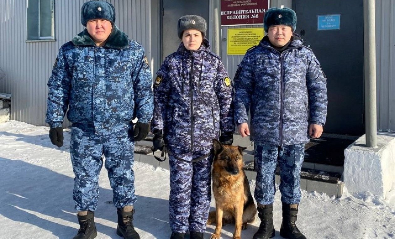 В Улан-Удэ по крикам в лесу нашли мужчину с обморожениями в −40 °C УФСИН по Бурятии