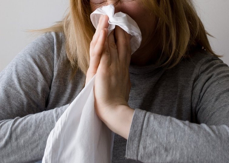 Тематическое фото pxhere.com