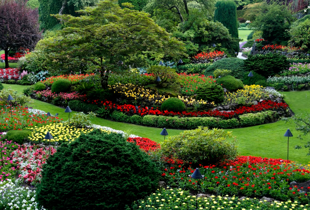 Тематическое фото unsplash.com