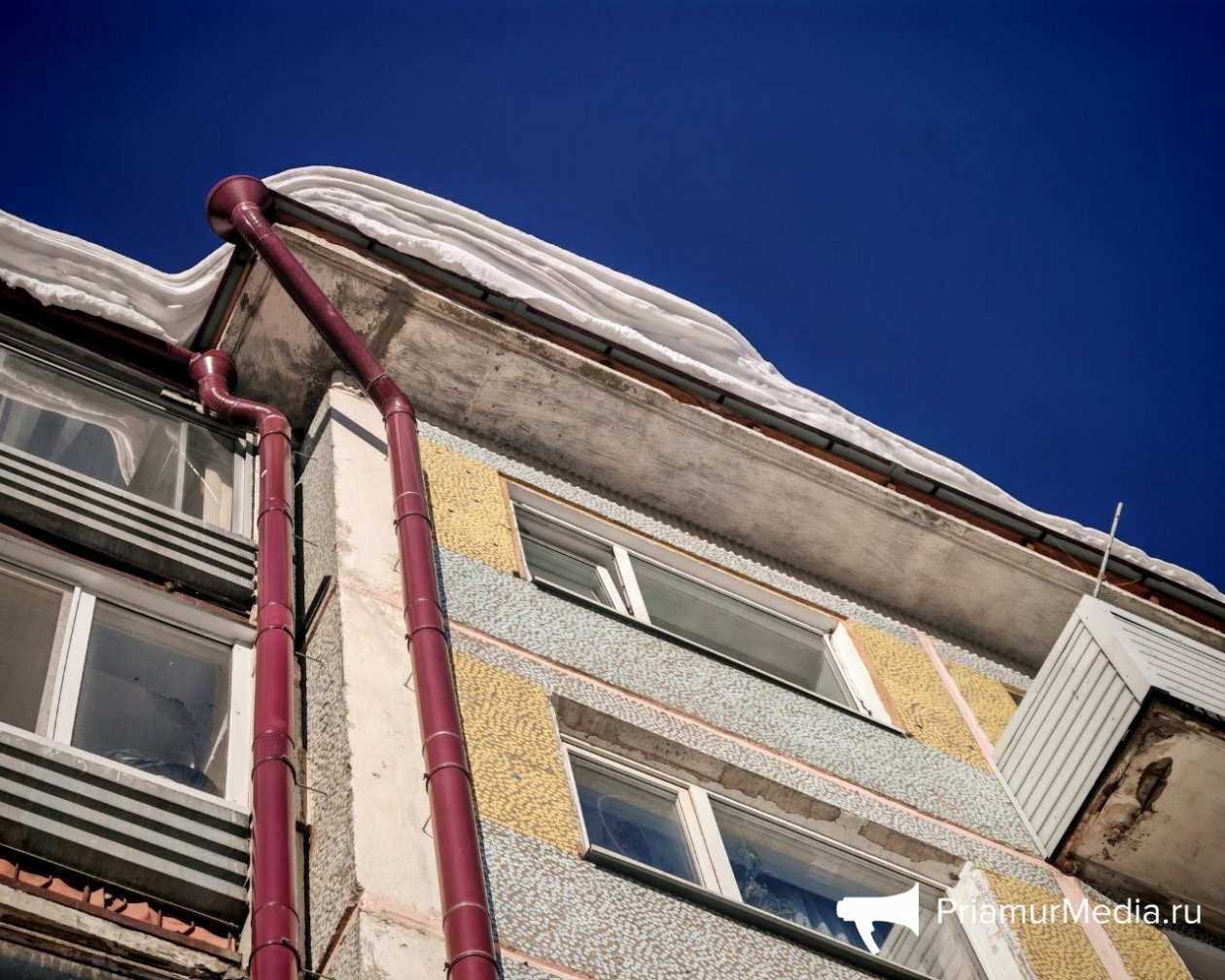 Юлия Ожегова, ИА PriamurMedia