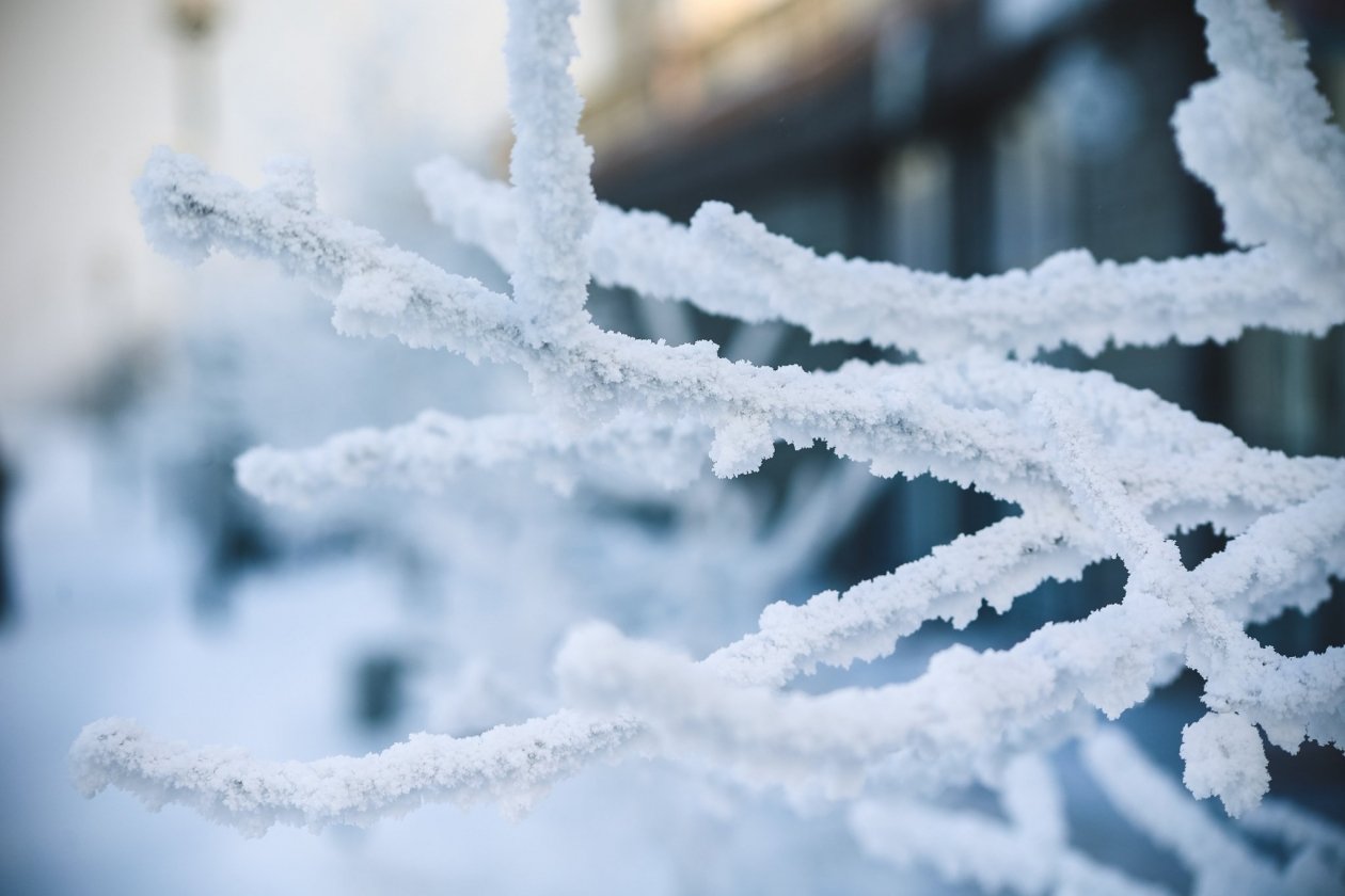 Будет морозно Юлия Ушакова, ИА IrkutskMedia