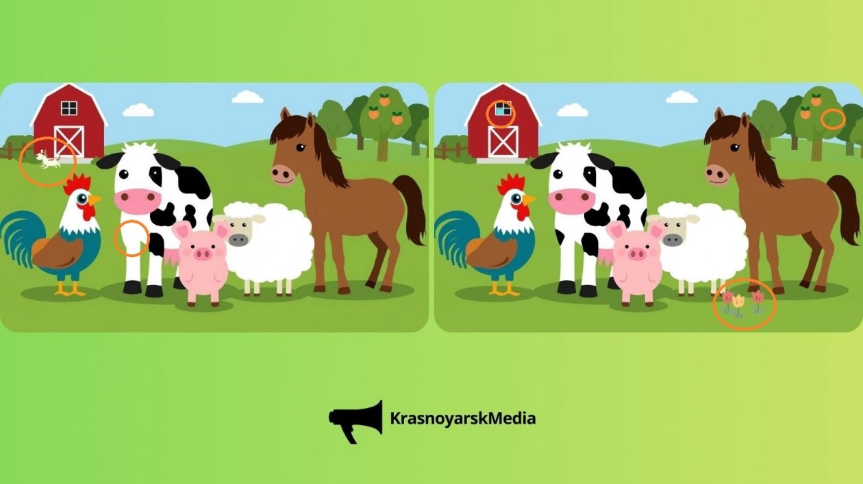 ИА KrasnoyarskMedia