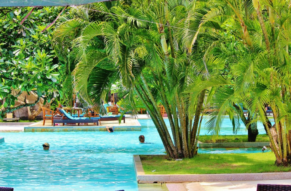 Тематическое фото pxhere.com