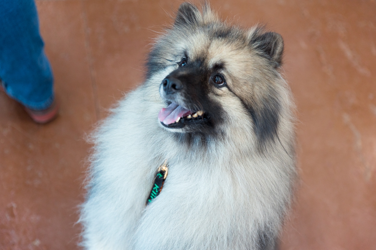 Тематическое фото Илья Аверьянов, ИА PrimaMedia