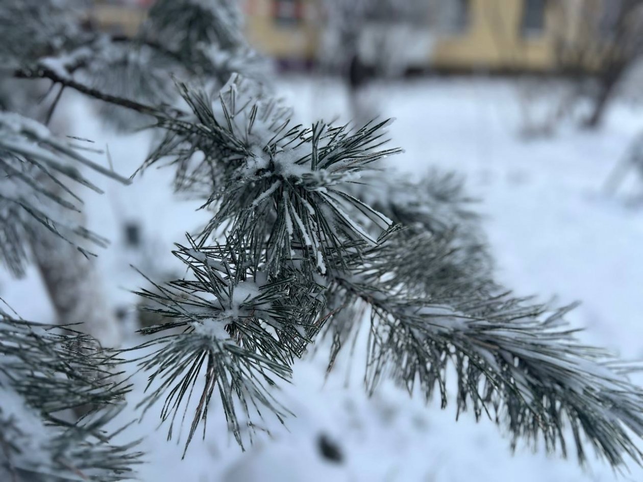Снег и сильный туман придут на Ставрополье вместе с выходными ИА Stavropol.Media