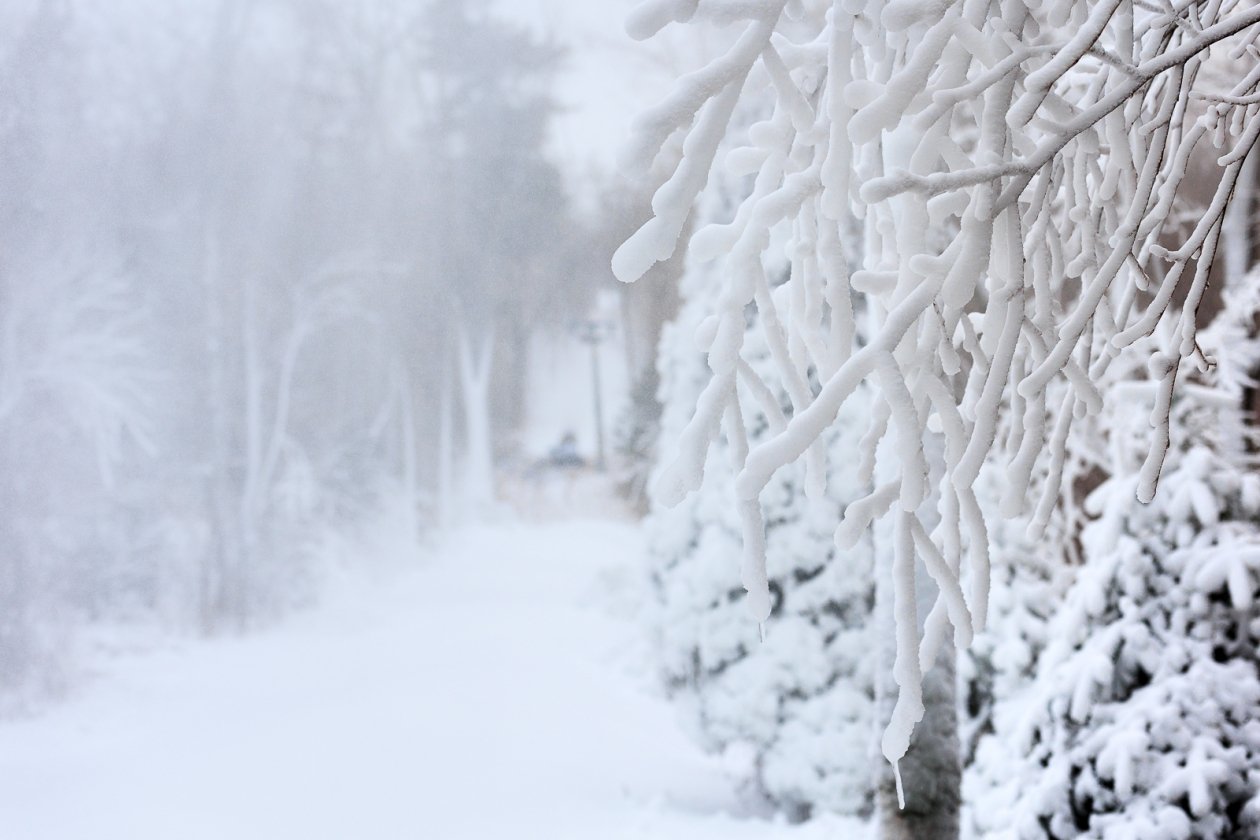В выходные температура воздуха днем в Якутске составит -30° Евгений  Кулешов, ИА PrimaMedia
