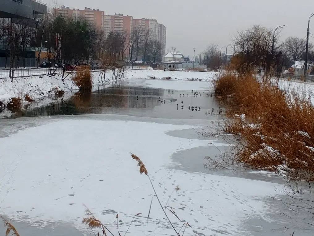  МЦУ Краснодар