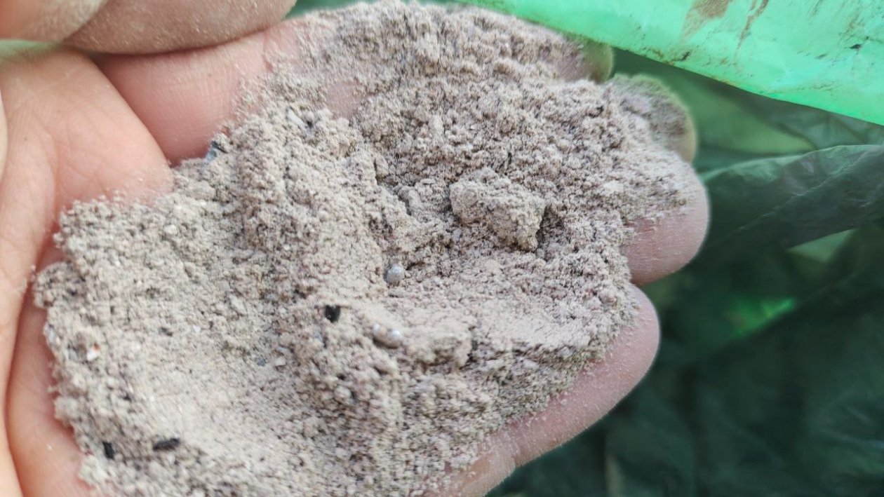 Зола Автора