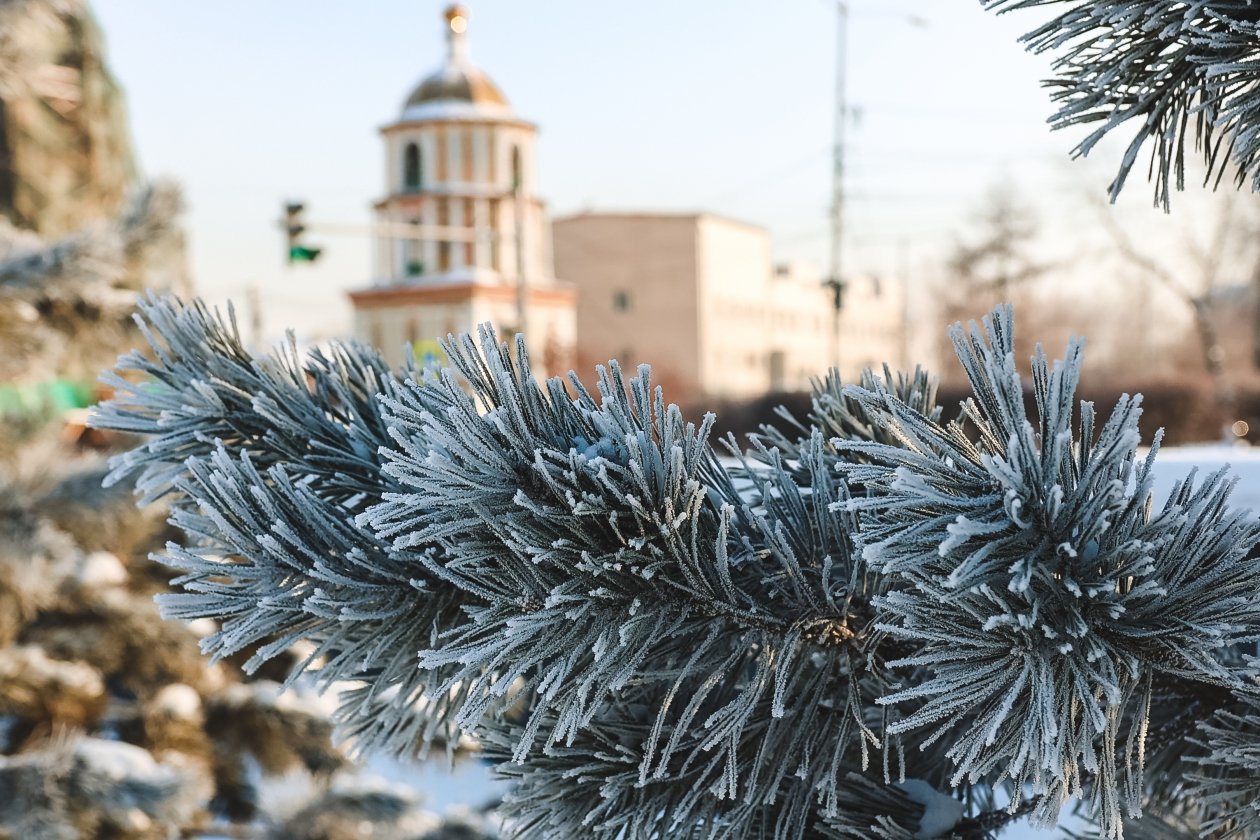 До гения вам как до Луны, если не отвечаете на 7 вопросов про зиму - ТЕСТ Юлия Ушакова, ИА IrkutskMedia