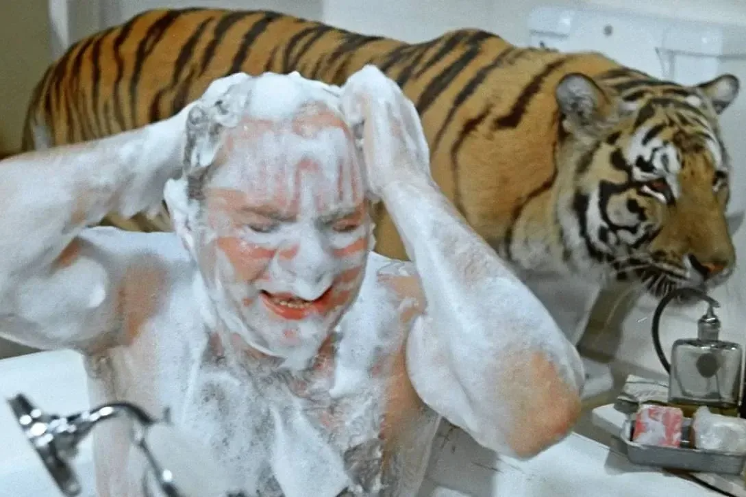 кадр из фильма 