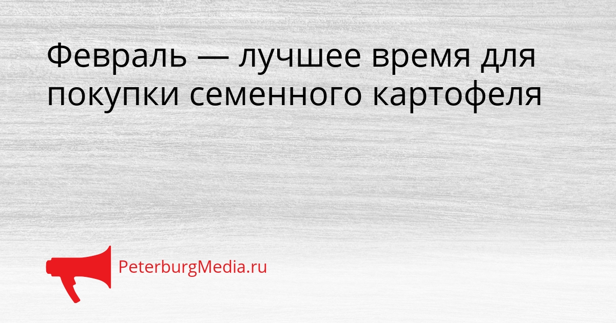 Февраль — лучшее время для покупки семенного картофеля Сгенерировано