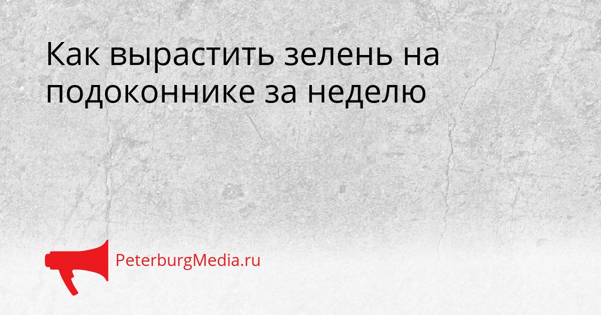 Как вырастить зелень на подоконнике за неделю Сгенерировано