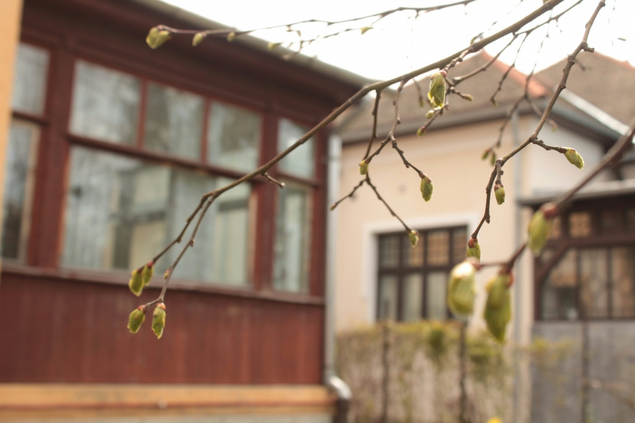 Тематическое фото unsplash.com