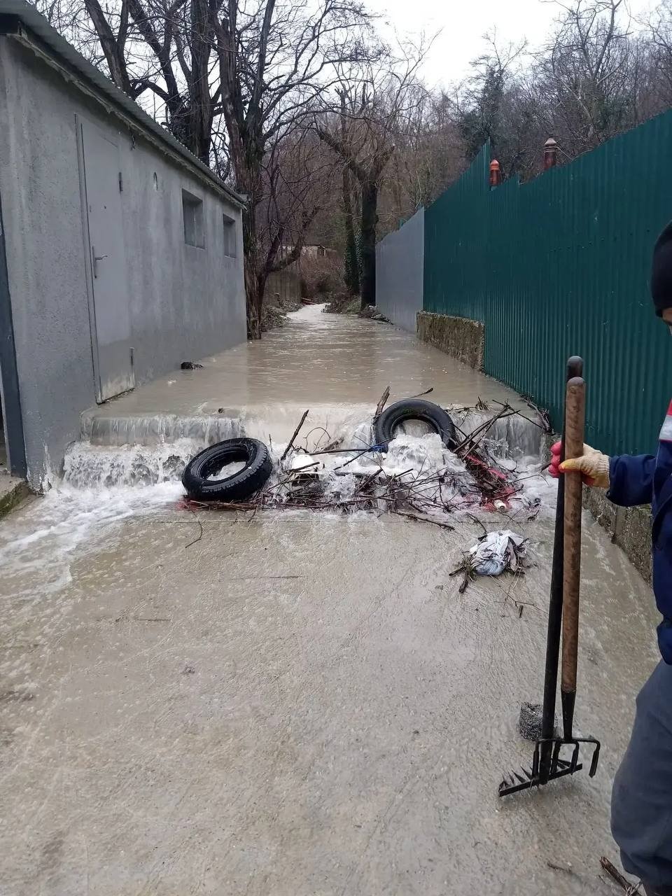  Администрация Центрального района Новороссийска