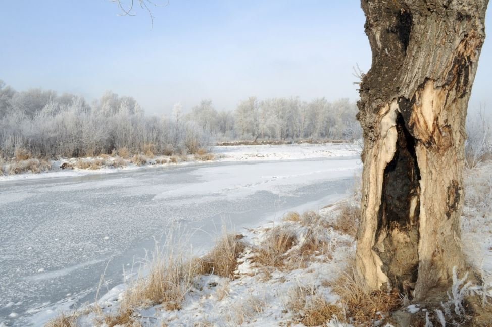 Тематическое фото pxhere.com