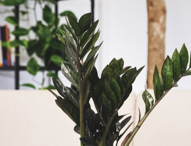 Тематическое фото unsplash.com (18+)