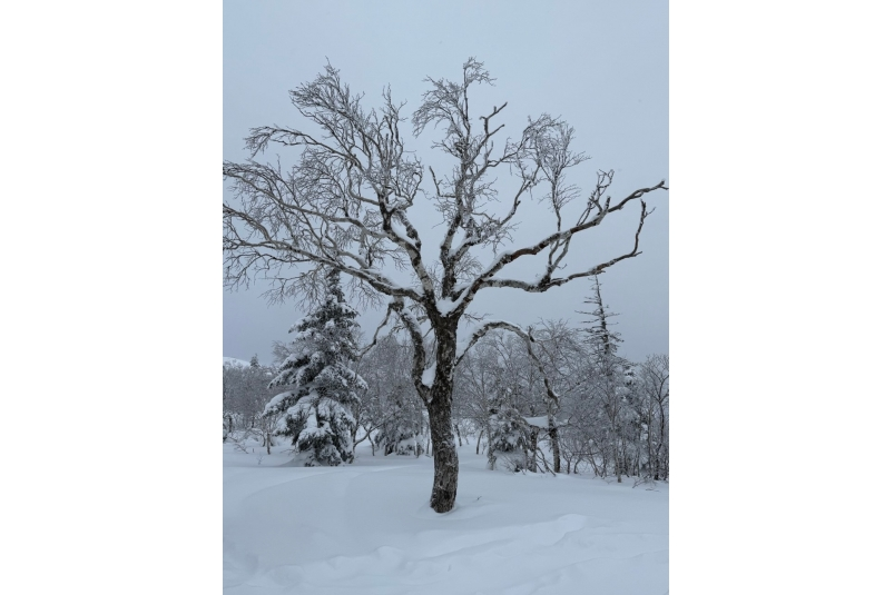 от читательницы Людмилы Савченко