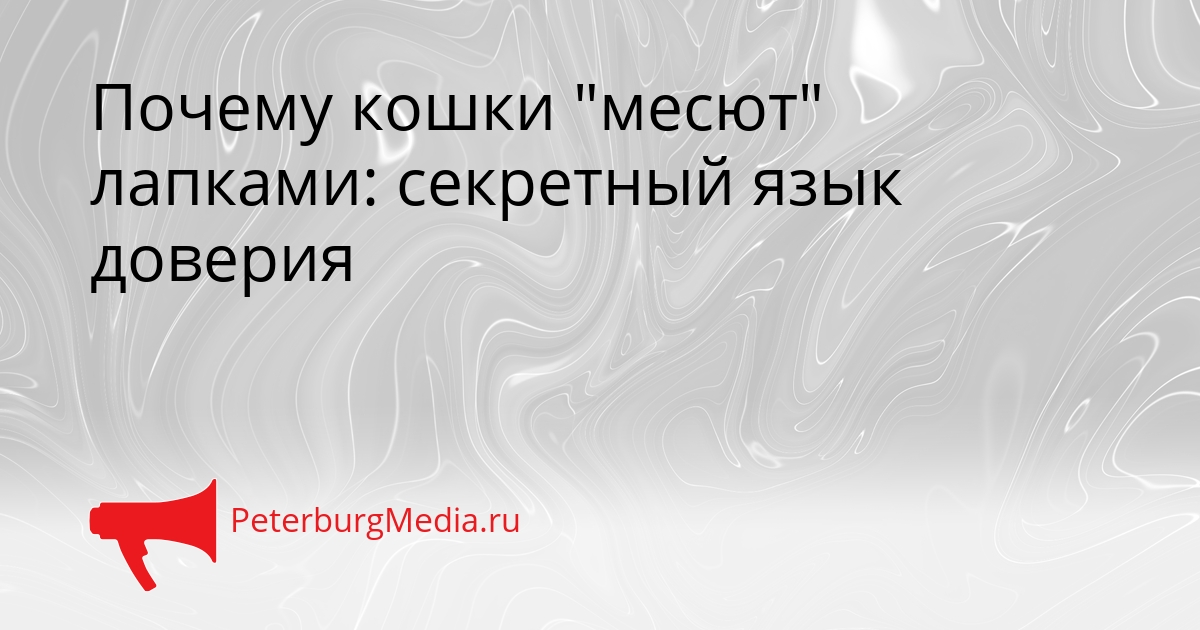 Почему кошки &quotмесют&quot лапками: секретный язык доверия Сгенерировано