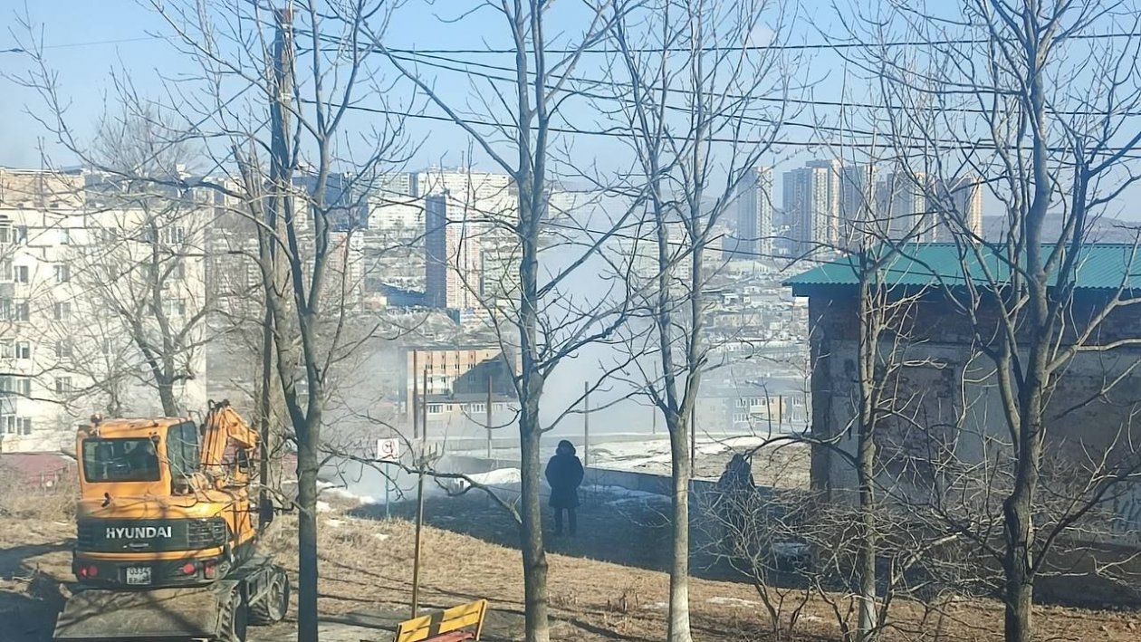 Озеро с черепахами во Владивостоке залило кипятком из-за порыва трубы телеграм-канал &quotСафонка&quot