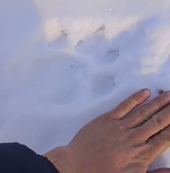 Скриншот тг-канал &quotNBS24&quot (18+)