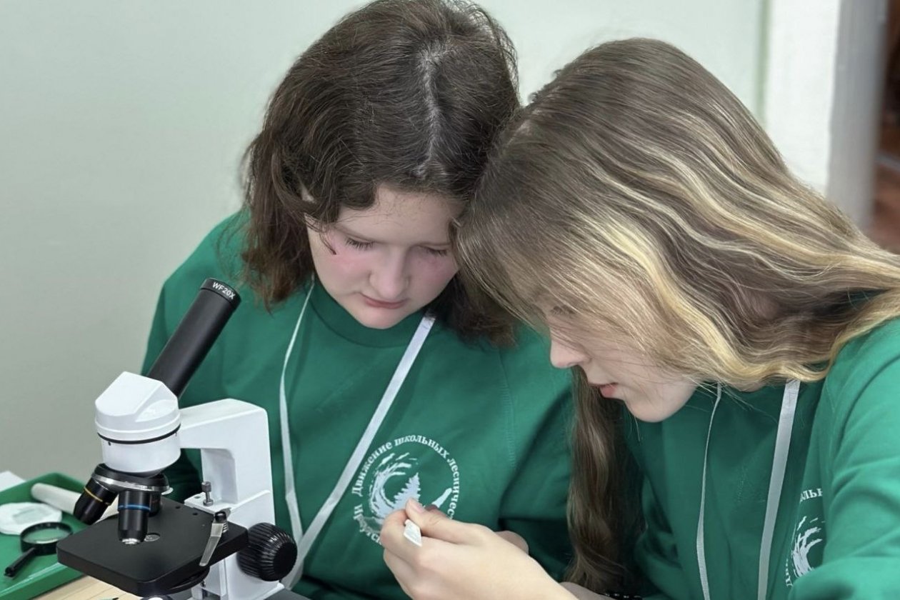 Стали известны победители регионального этапа юниорского лесного конкурса в Приангарье Пресс-служба правительства Иркутской области