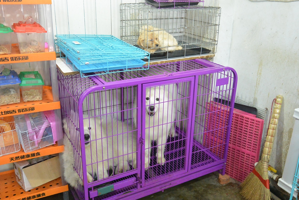 Тематическое фото ИА PrimaMedia