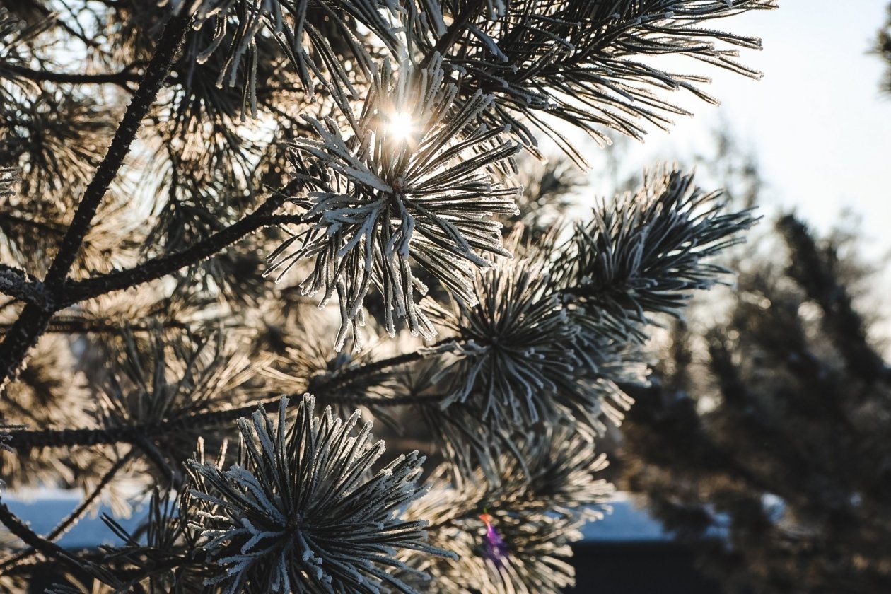 Прогноз погоды на неделю Юлия Ушакова, ИА IrkutskMedia