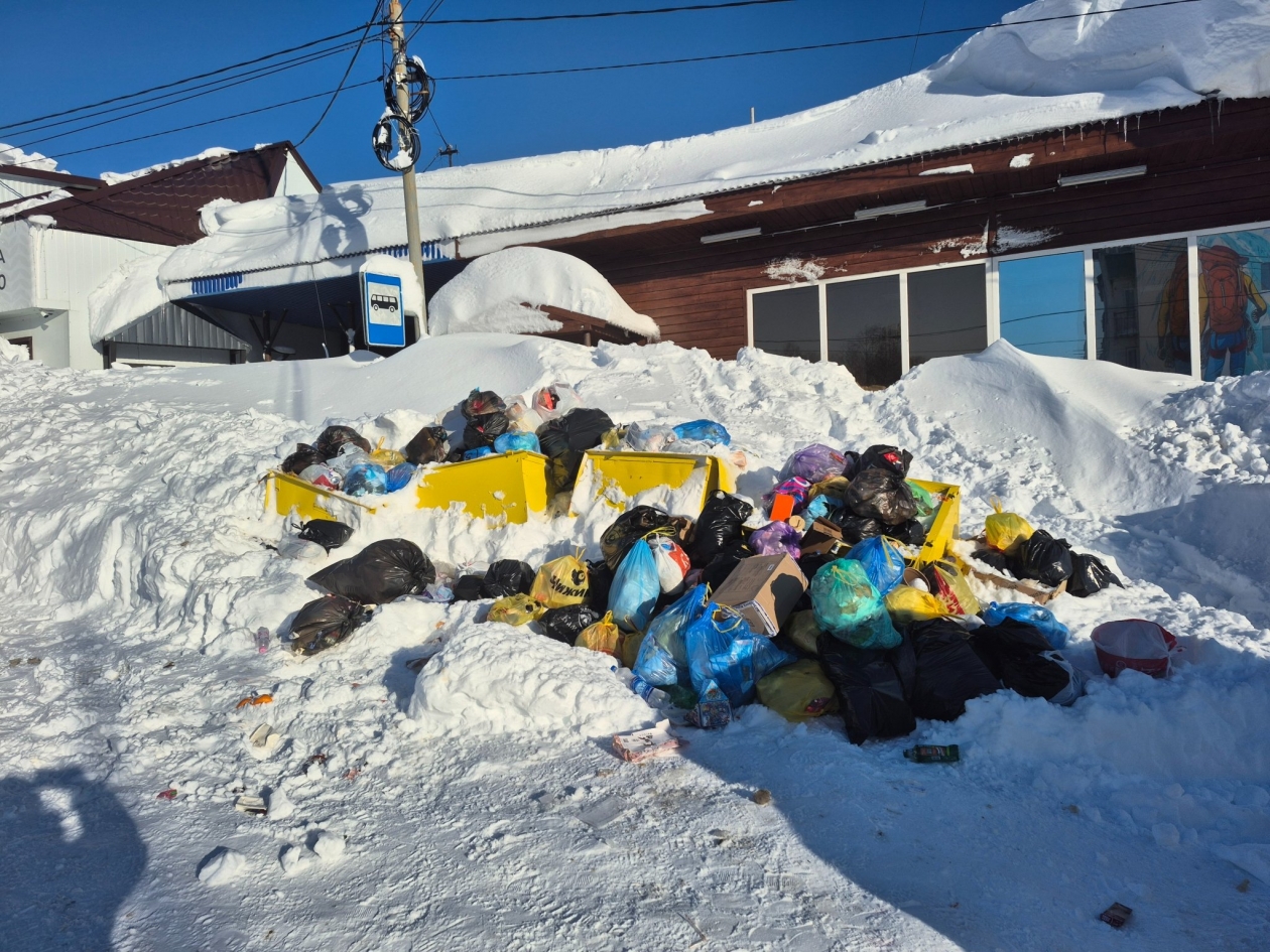Архивное фото Анна Биланич, ИА KamchatkaMedia