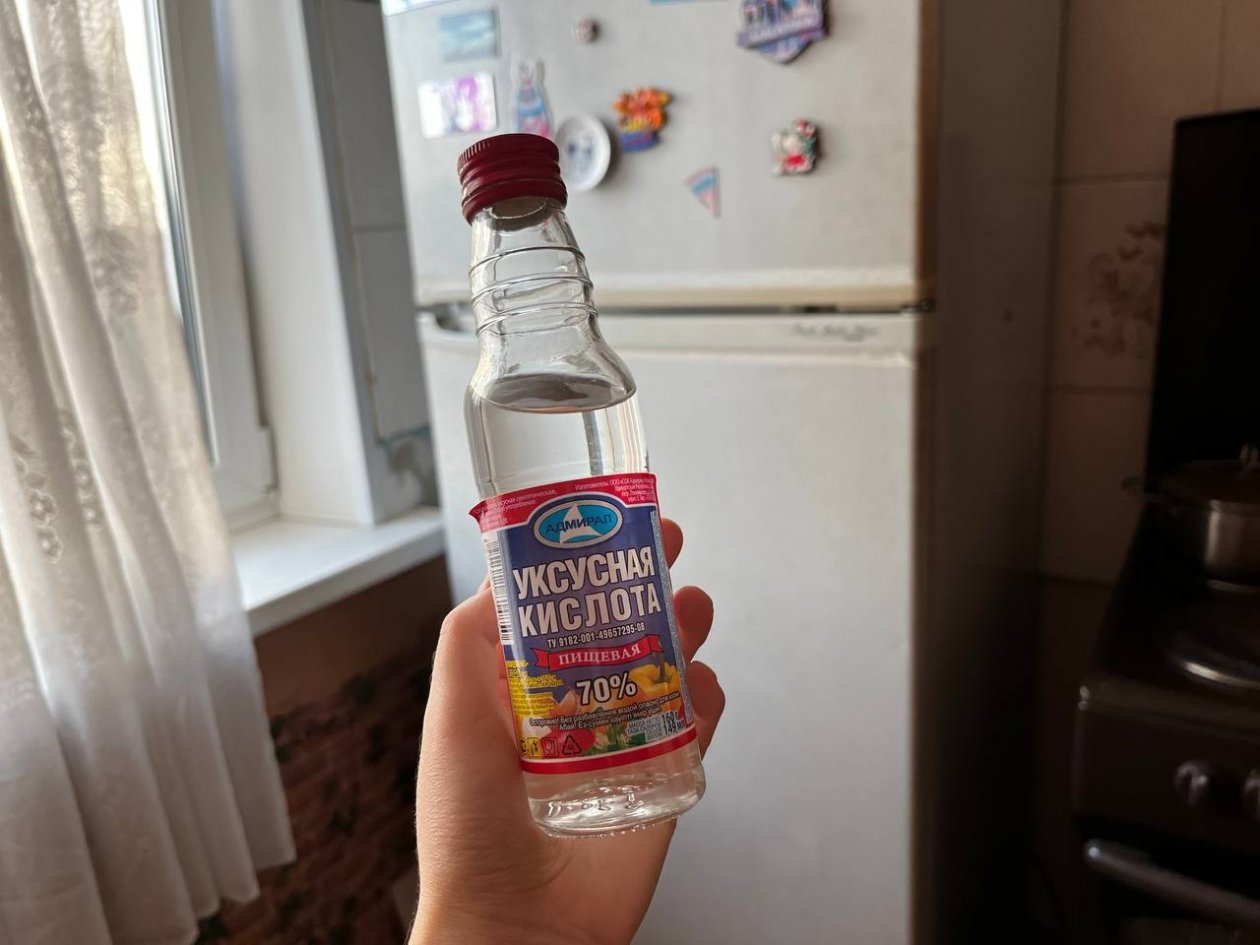 Тематическое фото Антонина Курилкина ИА PrimaMedium