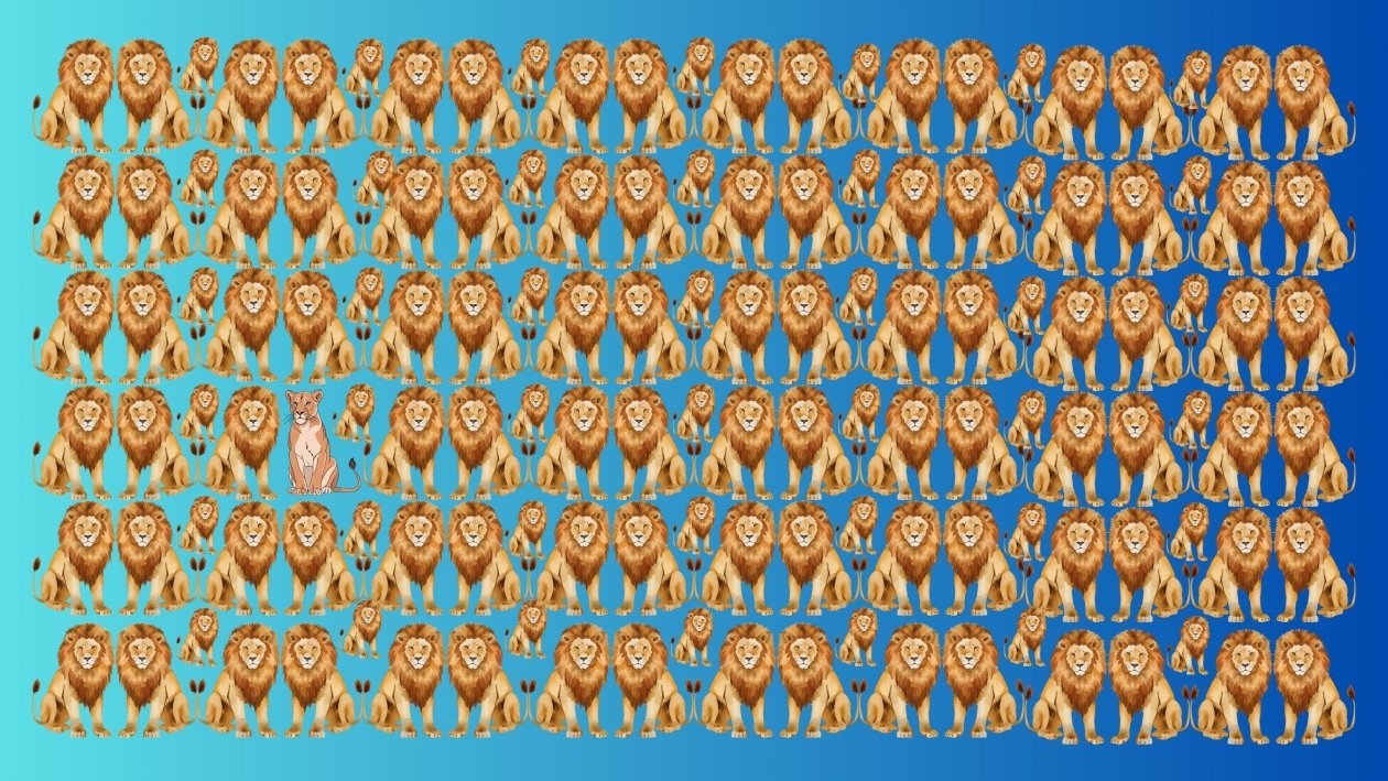 Тематическое фото ИА EAOMedia