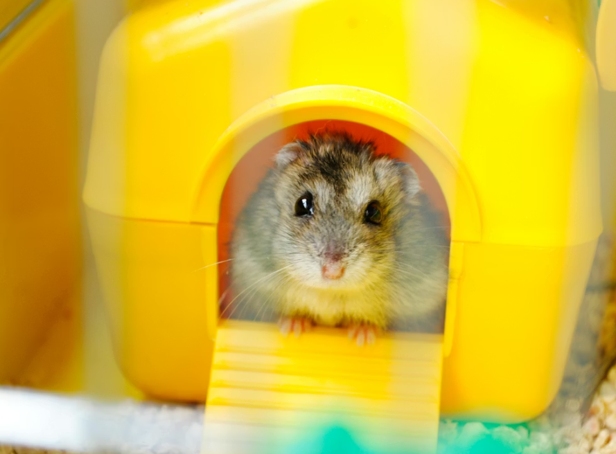 Тематическое фото Unsplash.com (18+)