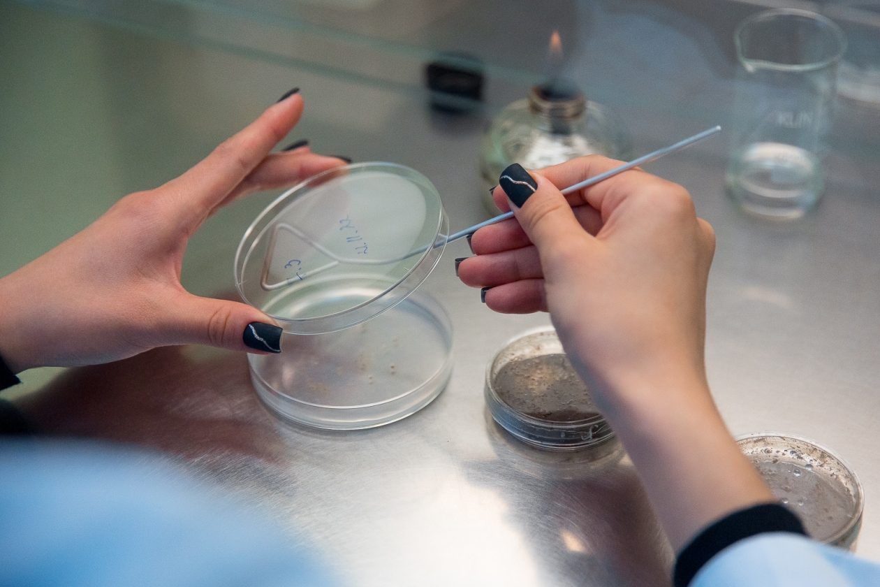 пробирка, пробирки, колба, анализ, анализы, лаборатория, исследование Илья Аверьянов, ИА PrimaMedia