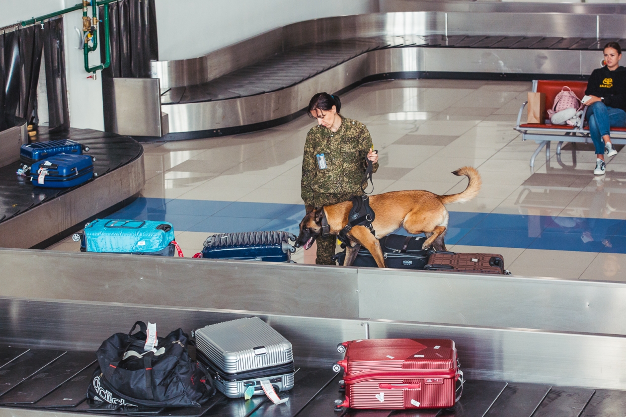 таможня, Аэропорт, таможня,  полет, перелет, пассажиры, багаж ,стойка регистрации, рейс, отмена Мария Бородина, ИА PrimaMedia