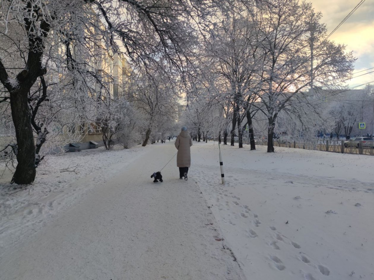 Морозную ночь обещают синоптики 27 января на Ставрополье ИА Stavropol.Media