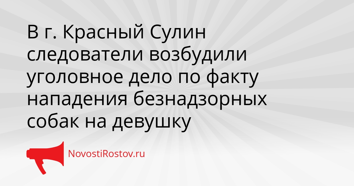 В г. Красный Сулин следователи возбудили уголовное дело по факту нападения безнадзорных собак на девушку Сгенерировано