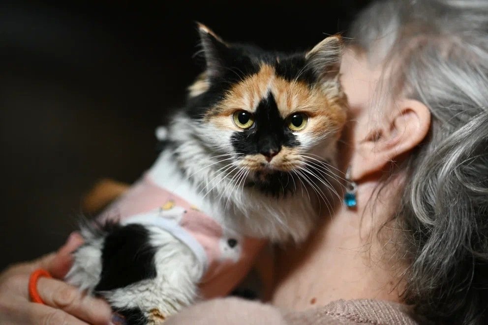 Волонтер участвует в международной премии Из архива Е. Воиновой