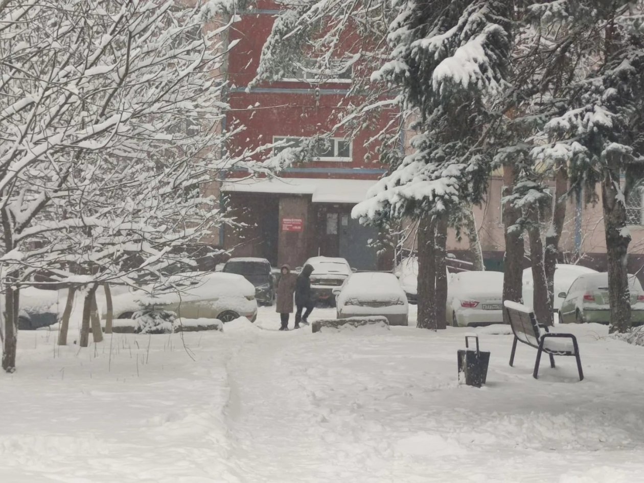 Законные сугробы: юрист раскрыла, как УК должны расчищать дворы от снега ИА Stavropol.Media